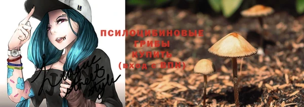круглые Алзамай