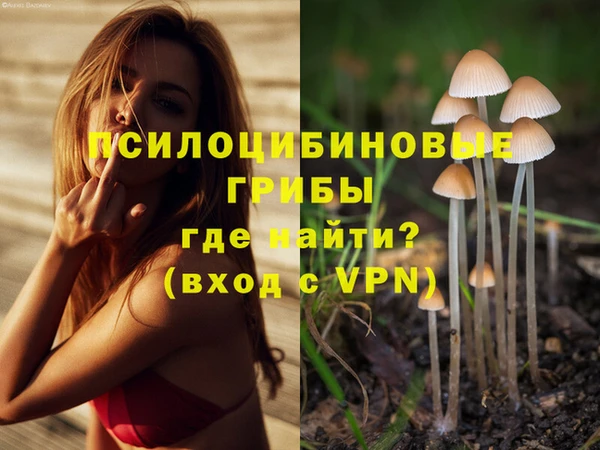 круглые Алзамай