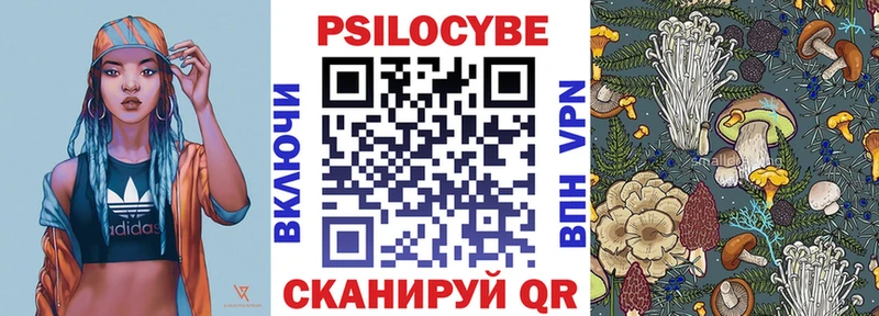 Галлюциногенные грибы Psilocybe  Кинель 